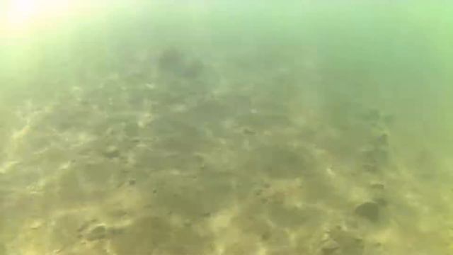 Асбест. Затопка.(2) смотреть онлайн