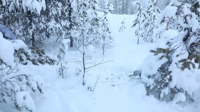 Отработка арктическими мотострелками СФ тактики рейдовых действий в Мурманской области смотреть онлайн