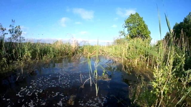 озеро Ольховое (Каракулинский район) смотреть онлайн