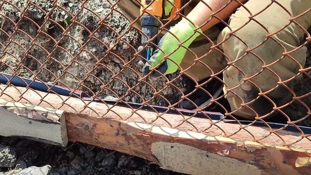 Строим вольеры для собак! Спасибо за помощь! смотреть онлайн