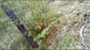 Рыбалка в Северо Енисейске, Красноярский  край. часть 2