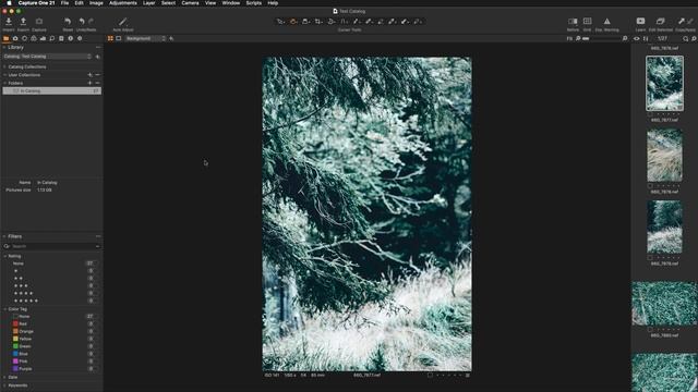 Capture One: Catalog VS Session смотреть онлайн