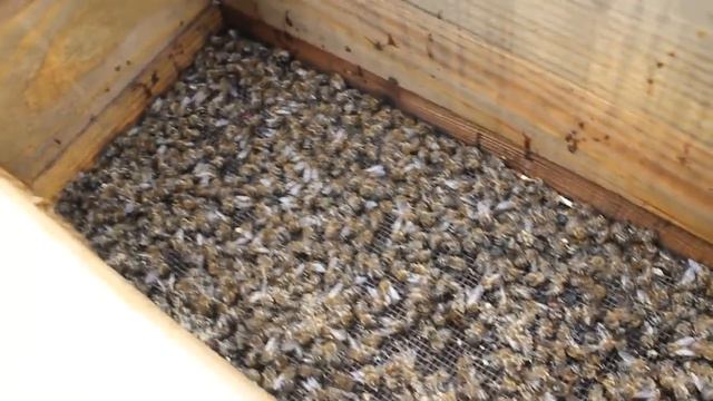 Первые весенние работы на пасеке, меняем донья ульев смотреть онлайн