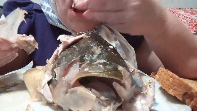 МУКБАНГ?Голова товстолоба/Подавилася кісточкою/Моє ім'я/ 18.02.2023 смотреть онлайн