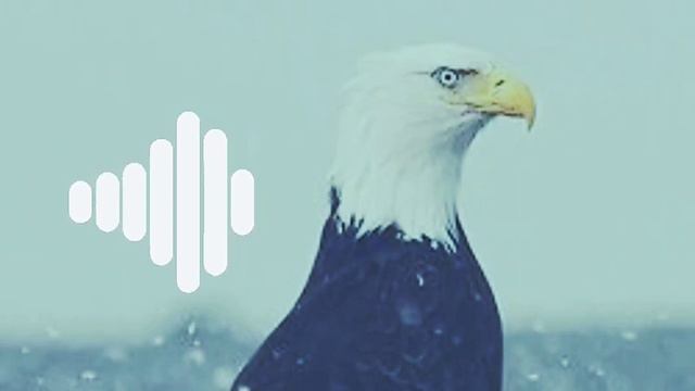 Eagle ringtone 🦅 || Need You2.0 смотреть онлайн