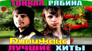 ДИЛИЖАНС.ТОНКАЯ РЯБИНА.