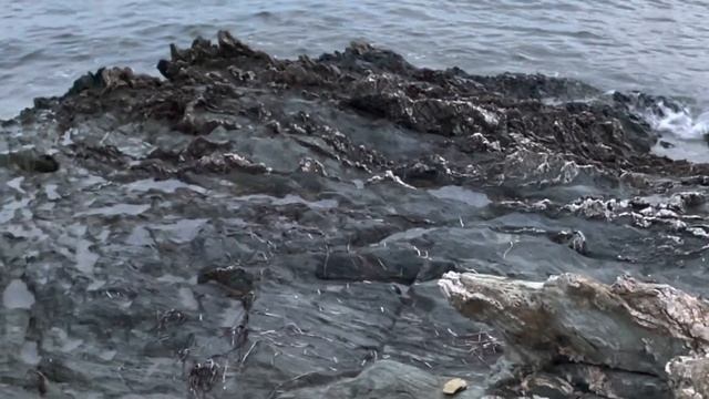 Галопом по Европам?Прилетели дети?Моя интернациональная семья? смотреть онлайн