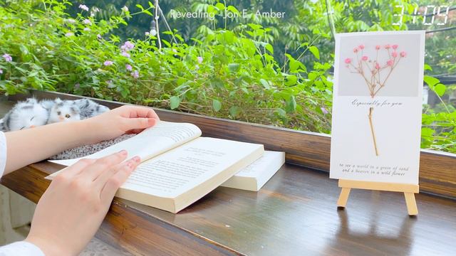 1-HOUR STUDY PLAYLIST I Relaxing Music, Stay Motivated I STUDY WITH MEOW 📚