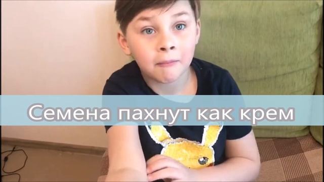 Как прорастить дома укроп смотреть онлайн