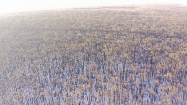 Полёт над лесом. Январь смотреть онлайн