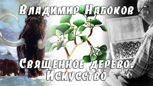 В. Набоков. Священное дерево. Искусство | оригинал и перевод | стихи Шейда смотреть онлайн