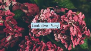 Песни для эдитов / Audio for edits