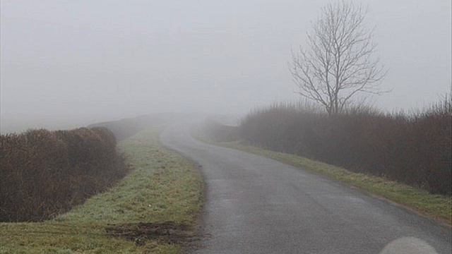 Foggy Moor смотреть онлайн