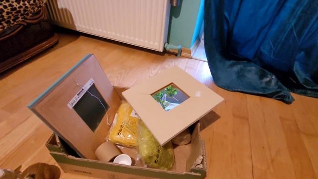 ДЕЛАЮ ПАСХАЛЬНЫХ КРОЛИКОВ 🐇ПРИОБРЕТЕНИЯ В СЕКОНД ХЕНДЕ 🛍24.02.23 смотреть онлайн