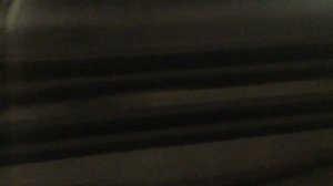 Вся Бутовская линия от Бунинской аллеи до Битцевского парка