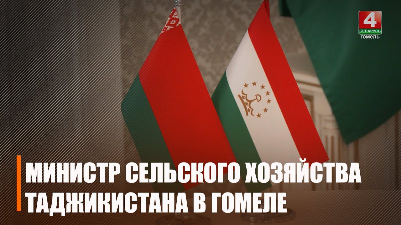 Гомельщину посетил министр сельского хозяйства Республики Таджикистан Курбон Хакимзода смотреть онлайн