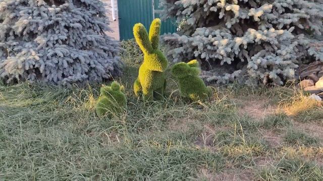 Оазис курортной обстановки в селе 2-е Засемье. смотреть онлайн