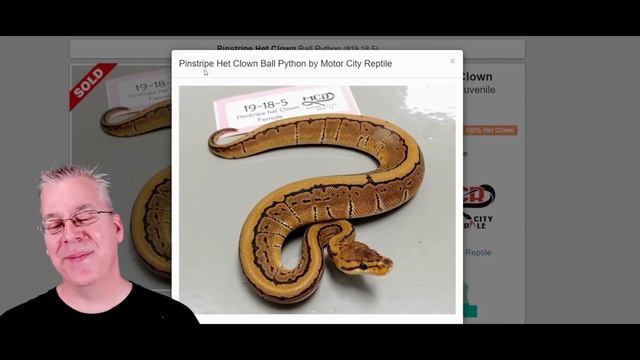 The Albino Ball Python! смотреть онлайн