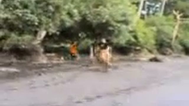 Santinos horse смотреть онлайн