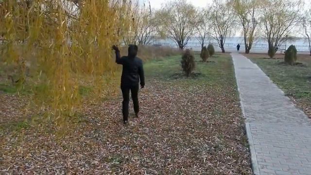 Полынь трава смотреть онлайн