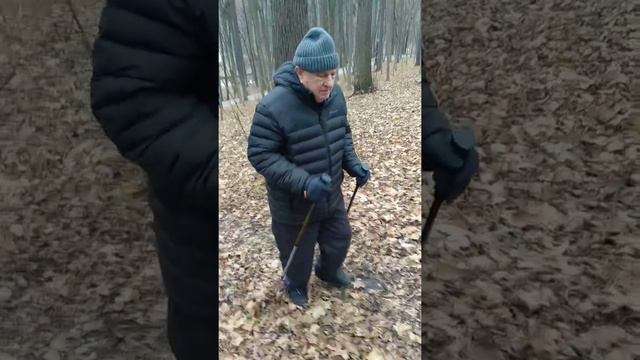 Техника скандинавской ходьбы для начинающих смотреть онлайн