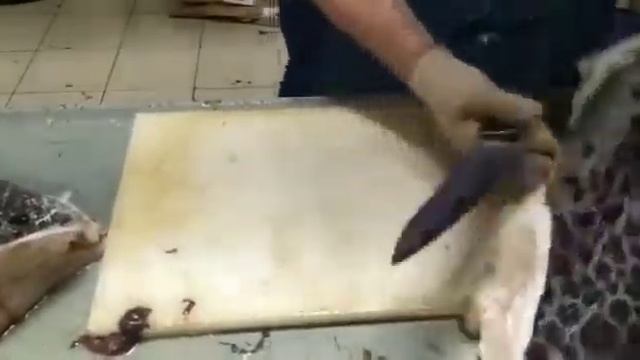 Как коптить зубатка горячего копчения смотреть онлайн