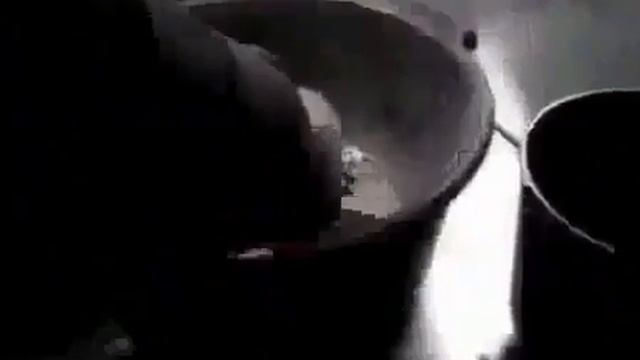 Стоимость гуманного усыпления собак в Москве смотреть онлайн