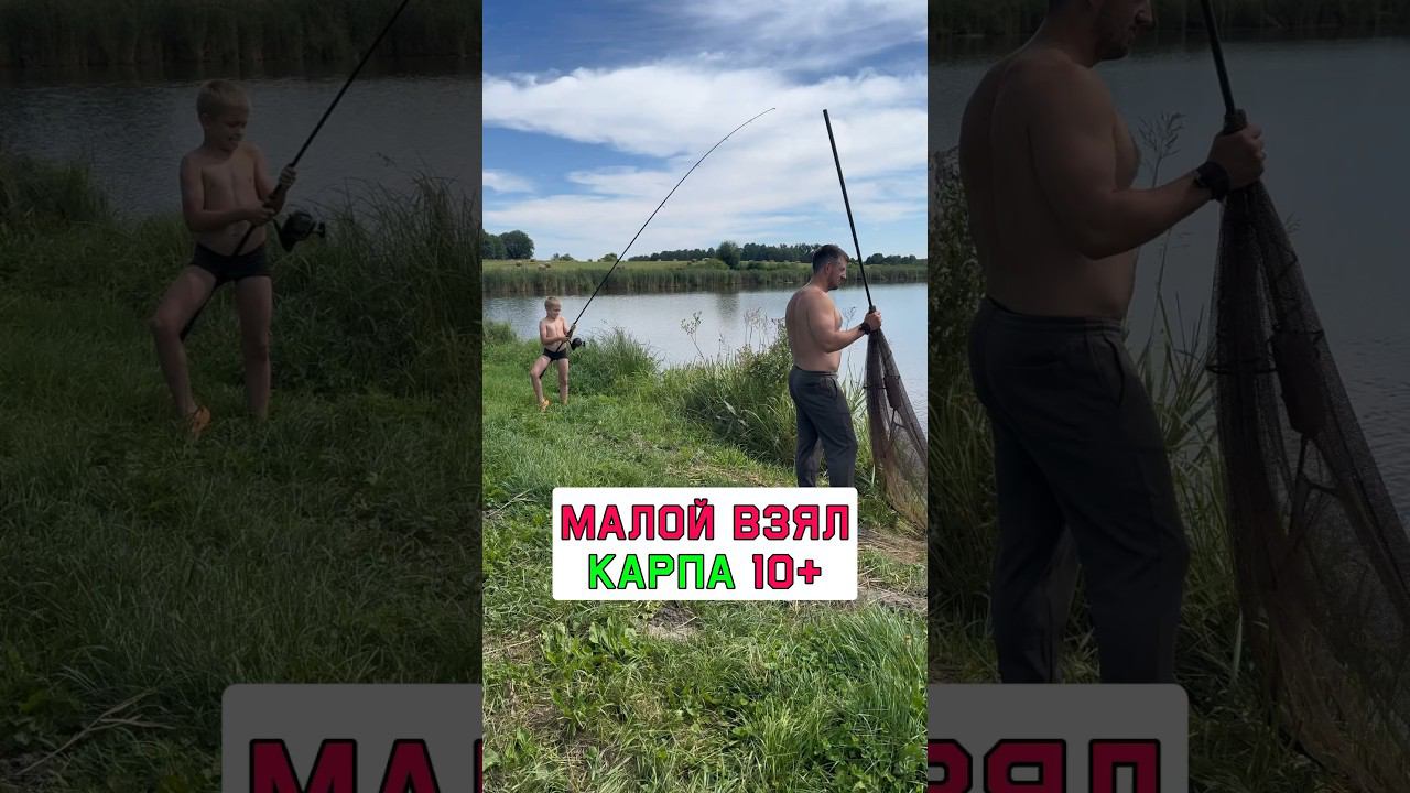 На эту насадку взяли карпа 10+кг #карпфишинг смотреть онлайн