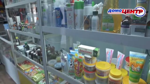 24 часа 13.04.2022 Доктор Айболит смотреть онлайн