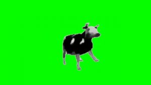 Польская Корова Флексит на Зелёном Фоне (Полный Мем)#meme #мем #мемы