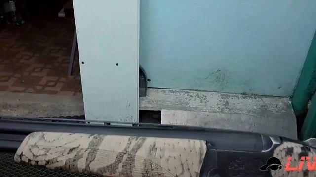 Результат тюнинга моего ружья для охоты по перепелу 20 го калибра смотреть онлайн