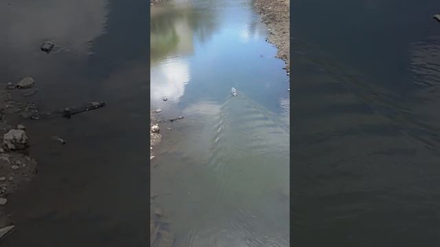 Спуск катера на воду смотреть онлайн