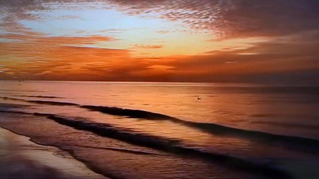 sunset violin by jim смотреть онлайн