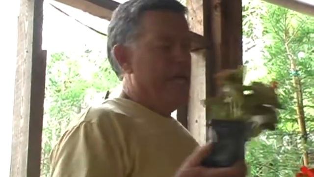 Shade Gardening 2009 - Bob Webster (8 of 9) смотреть онлайн