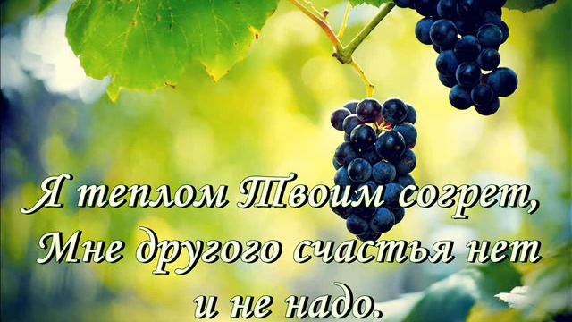 Изобильная виноградная лоза смотреть онлайн