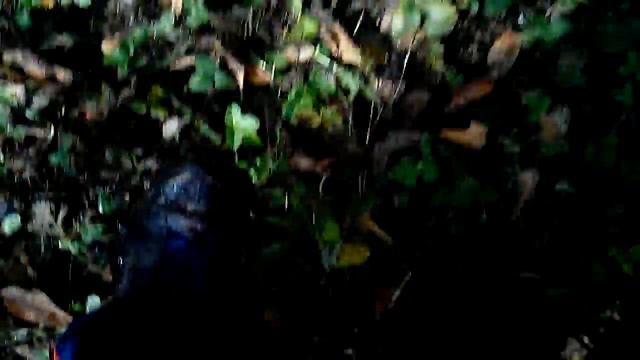 нива шевроле смотреть онлайн