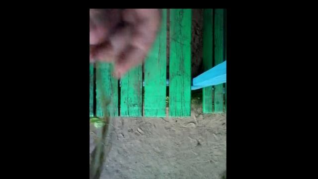 DIY Венок из природных материалов:-) смотреть онлайн