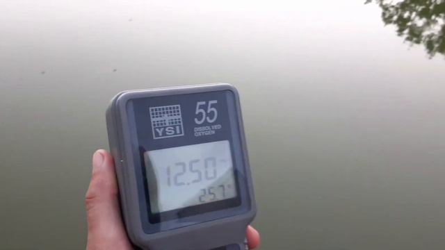 ИЗМЕРЯЮ КИСЛОРОД в пруду 24 ЧАСА *** Или что делают сине-зеленые водоросли ночью?!?!? смотреть онлайн