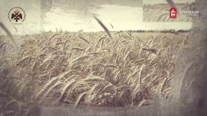 Славянские племена, верования, быт и культура