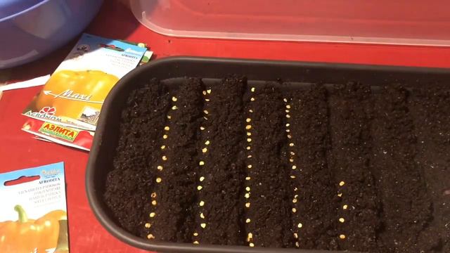 Посев перцев на рассаду2020! Уделим внимание грунту