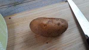 Картофель сорт "Скарб".