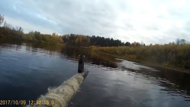 Утка-нырок. смотреть онлайн