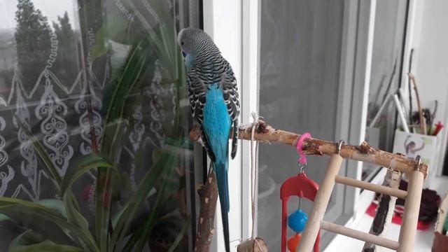 Кирюша-болтуша) смотреть онлайн