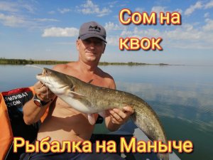 Сом на квок. Рыбалка и супер отдых на Маныче.