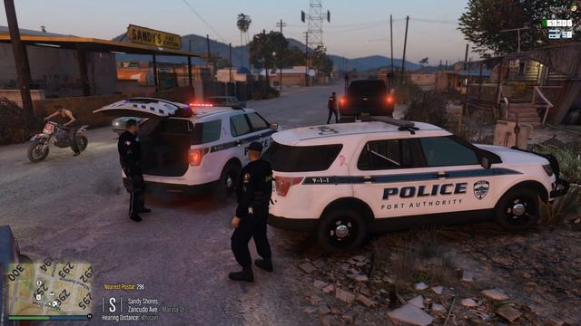 Dept. of Justice Cops #805 - 3 Headed Goose смотреть онлайн
