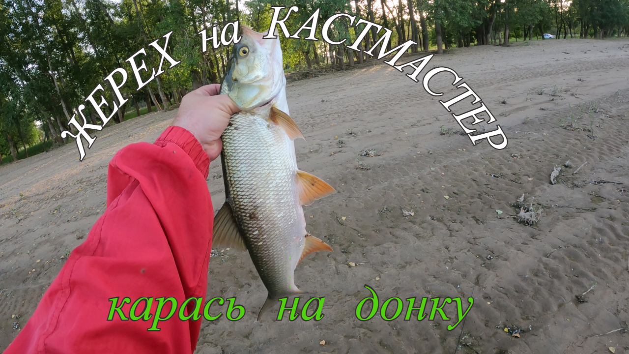 Первая летняя рыбалка в этом году.Ловим карася на донку.Жерех на кастмастер. смотреть онлайн