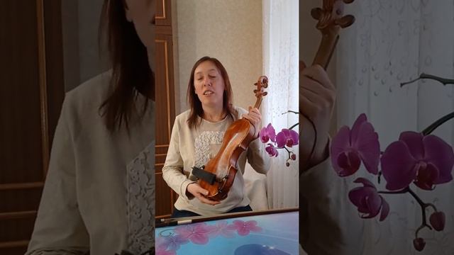 Музичний інструмент - скрипка