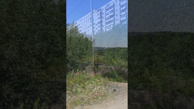 #мурманск район Озёрный, за улицей Старостина смотреть онлайн