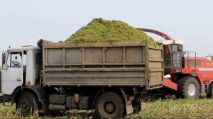 МАЗ 5551 Грузовик проверенный временем