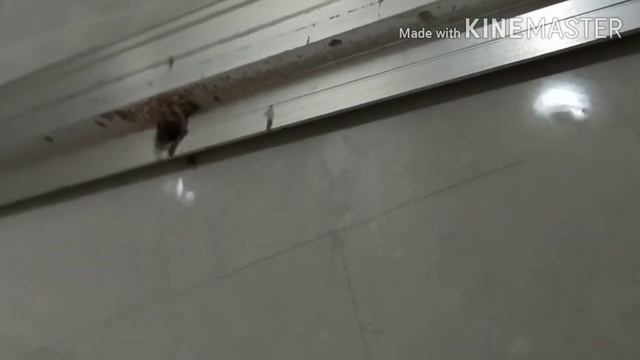 Как сверлить керамогранит перьями сверла и с АлиЭкспресс смотреть онлайн